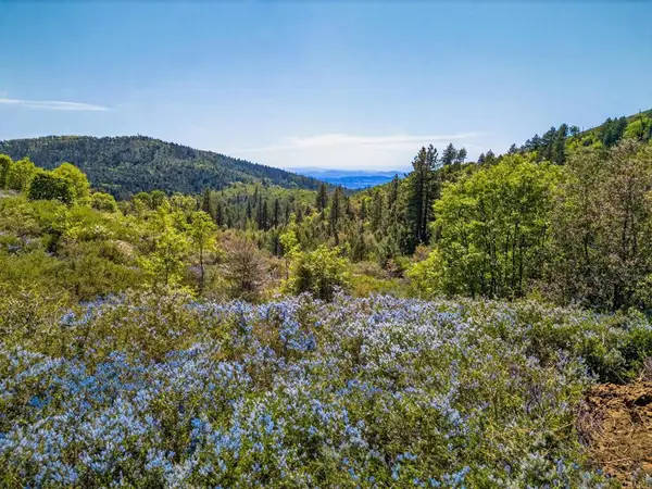 200 Palomar Divide Truck Trail, Palomar Mountain, CA 92060