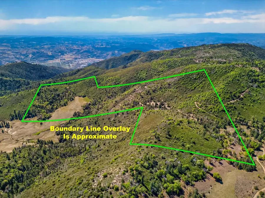 200 +/- Acres Palomar Divide Truck Trail, Palomar Mountain, CA 92060 - #2