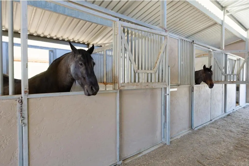 161 Lemon Grove Drive, Fallbrook, CA 92028 - #1