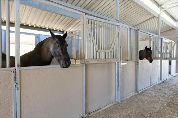 161 Lemon Grove Drive, Fallbrook, CA 92028