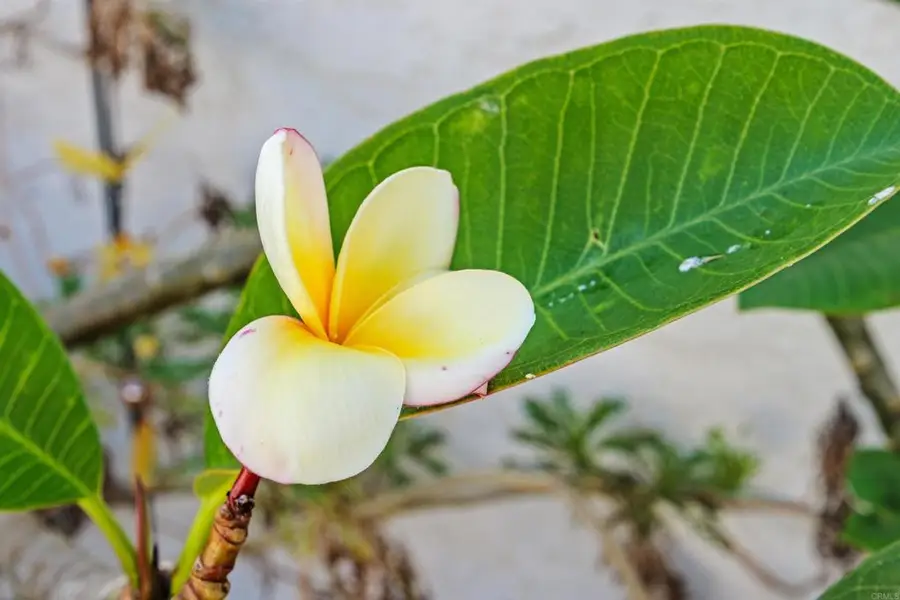 3828 Rosemary Way, Oceanside, CA 92057 - #3