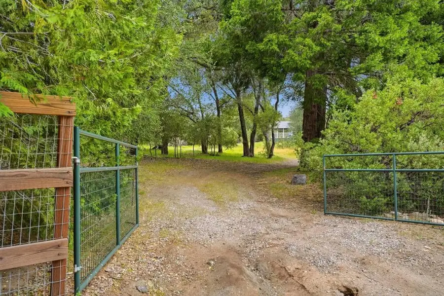 5867 Forest Meadow Road, Julian, CA 92036 - #2