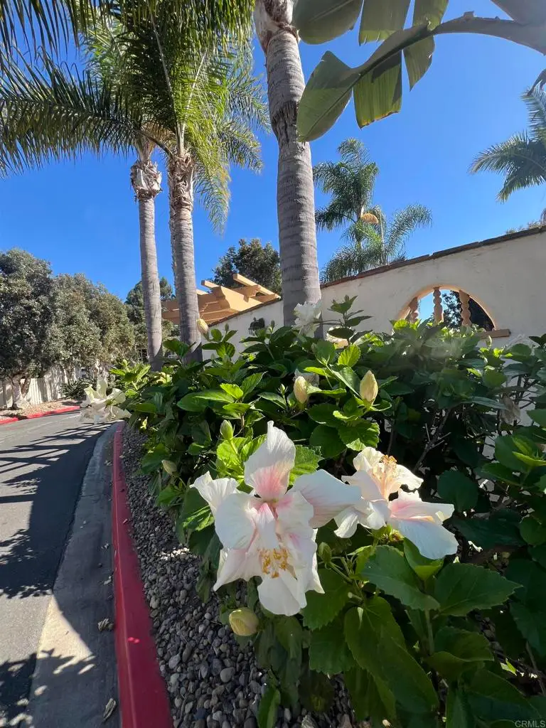 4241 Loma Riviera Lane, San Diego, CA 92110 - #2