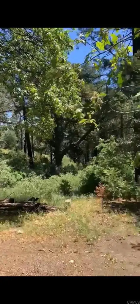 0 Burnt Creek Canyon Road, Cedarpines Park, CA 92322 - #2