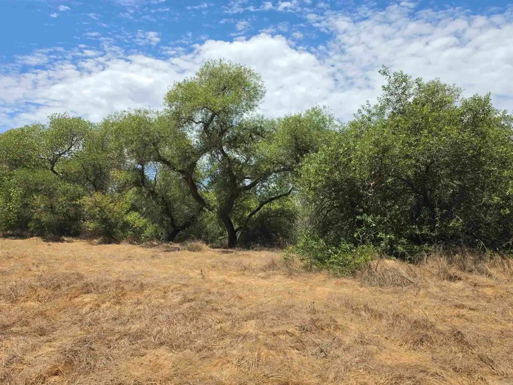1.41 acres Durgin Street, Ramona, CA 92065 - #1