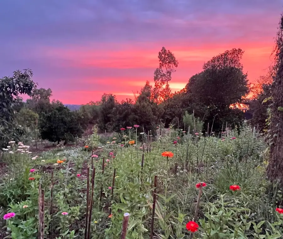 5741 Rainbow Heights Road, Fallbrook, CA 92028 - #2