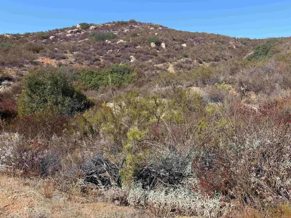 Lot 1 Japatul Rd, Alpine, CA 91901