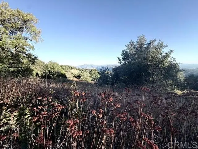29 Acres East Grade Road, Palomar Mountain, CA 92060 - #3