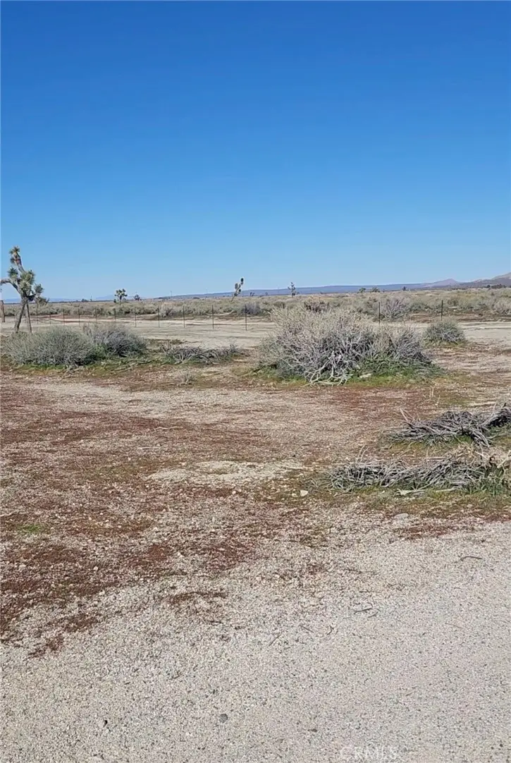 0 Vic Ave R Vic 80th Ste, Palmdale, CA 93552 - #2