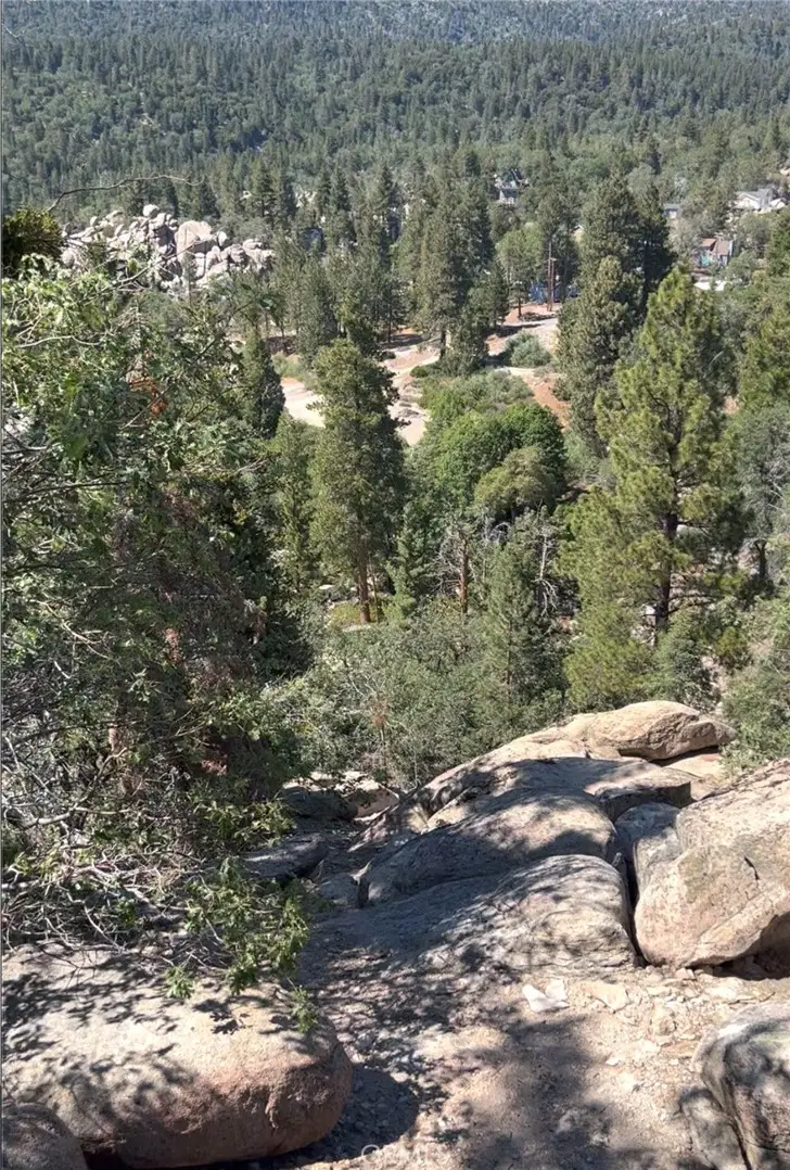 1 Deer Lick Drive, Running Springs, CA 92382 - #1