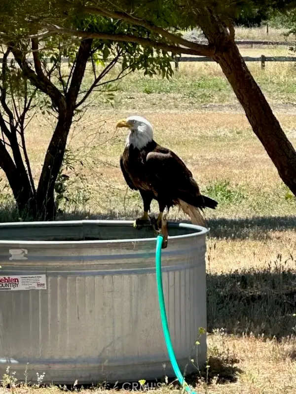 2 Interlake Road, Bradley, CA 93426 - Image #3