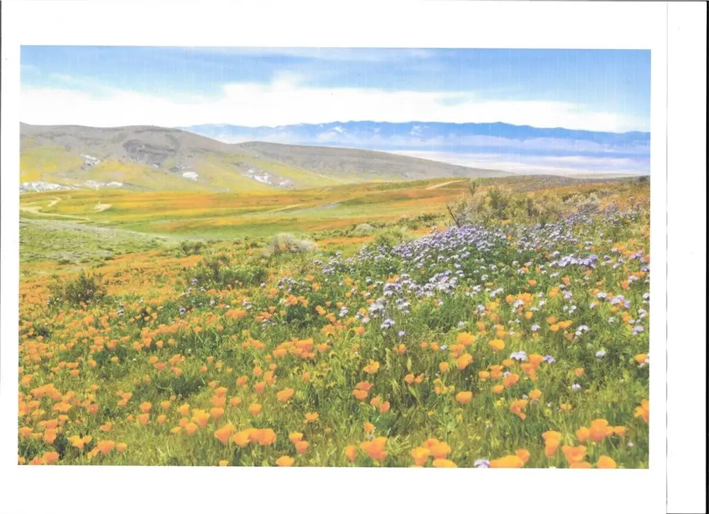 0 Cooperstown Rd, California Valley, CA 93453 - Image #1