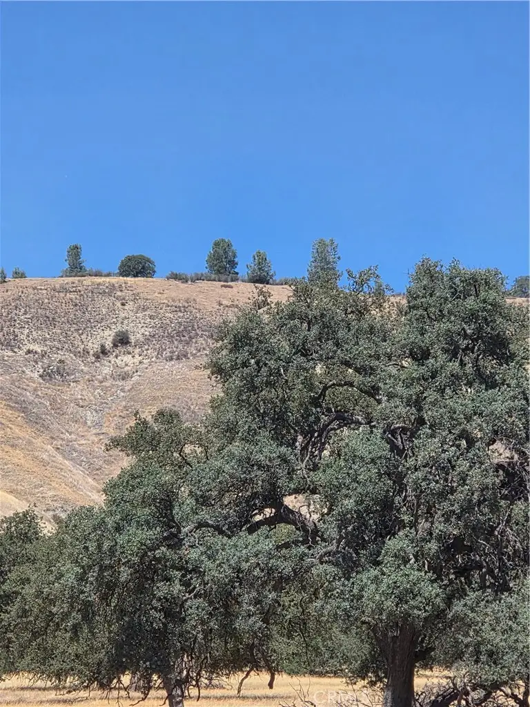 87577 Oak Street, Parkfield, CA 93451 - Image #3