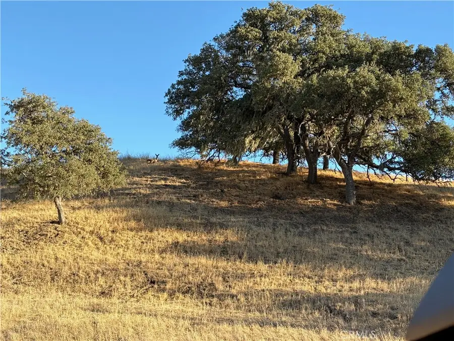 2495 Maverick Way, Paso Robles, CA 93446 - Image #2