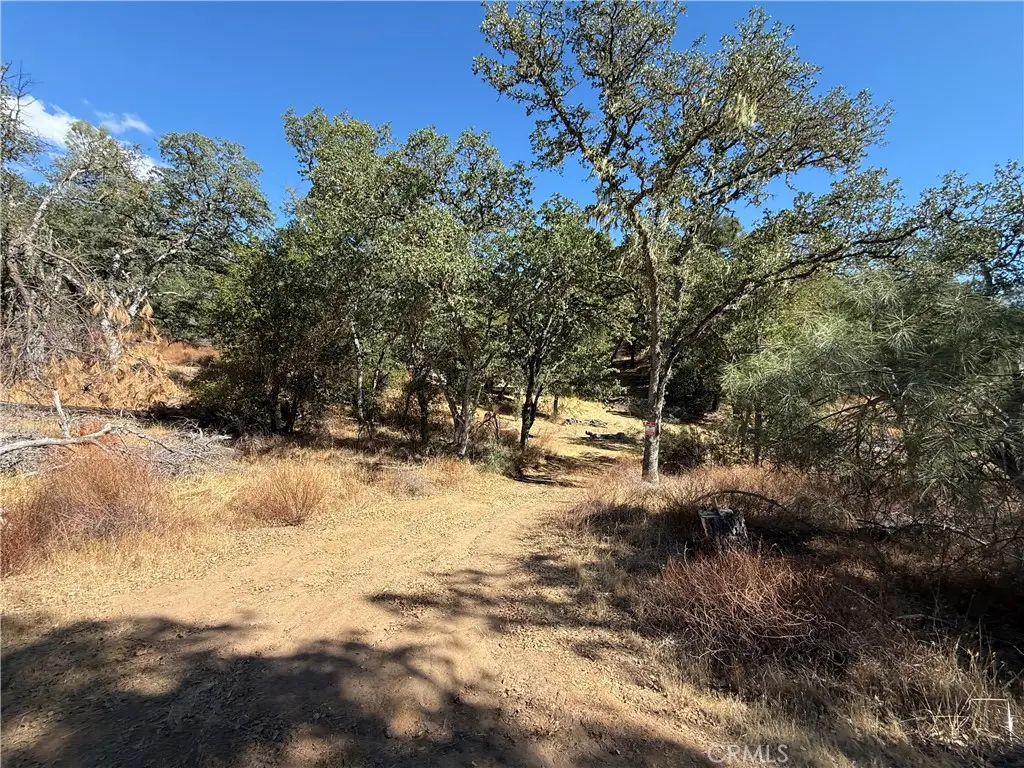 18 Sapaque Valley Rd, Bradley, CA 93426 - Image #1