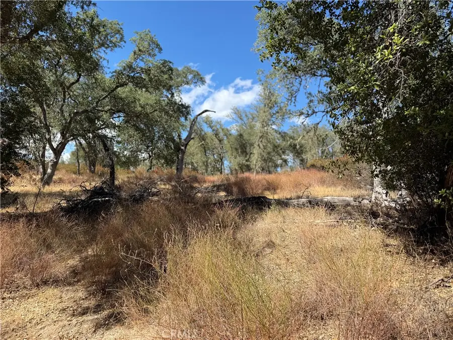 18 Sapaque Valley Rd, Bradley, CA 93426 - Image #3