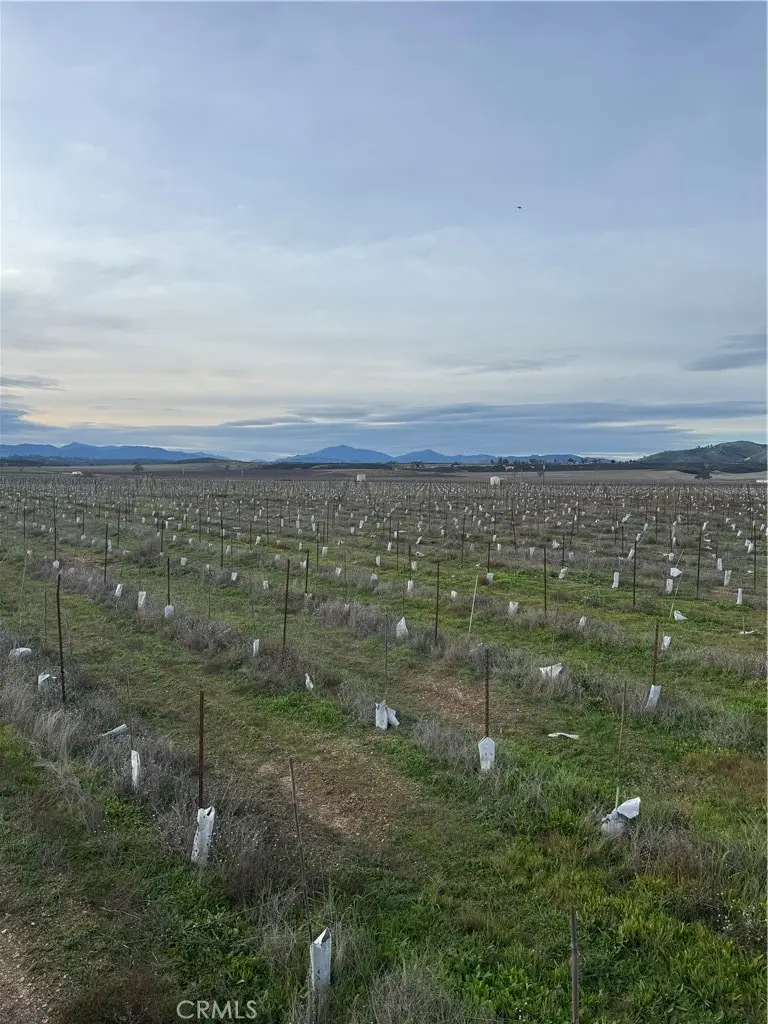 48655 Lockwood Jolon Road, Lockwood, CA 93932 - Image #3