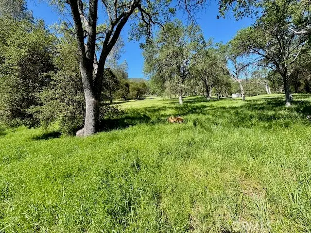 0 Av Ranch Road, Unknown, CA 93928 - #3