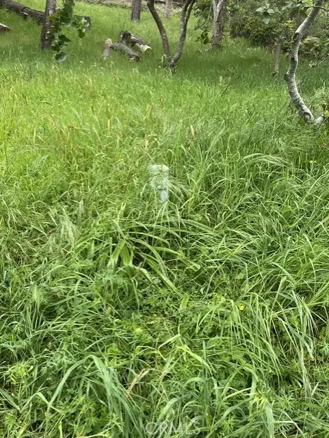 0 Mills, Cambria, CA 93428 - #2