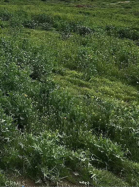 17900 Nandina Avenue, Riverside, CA 92508 - Image #2