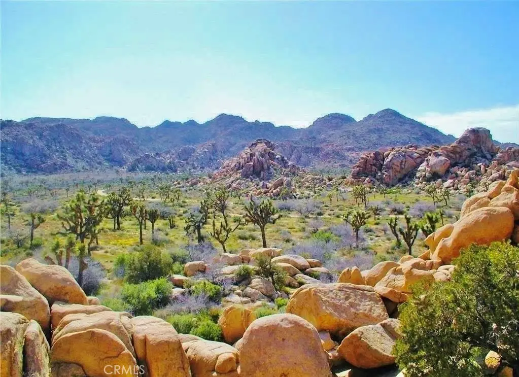 61936 El Reposo Circle, Joshua Tree, CA 92252 - Image #1