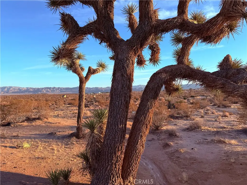 2700 Del Sol, Joshua Tree, CA 92252 - #1