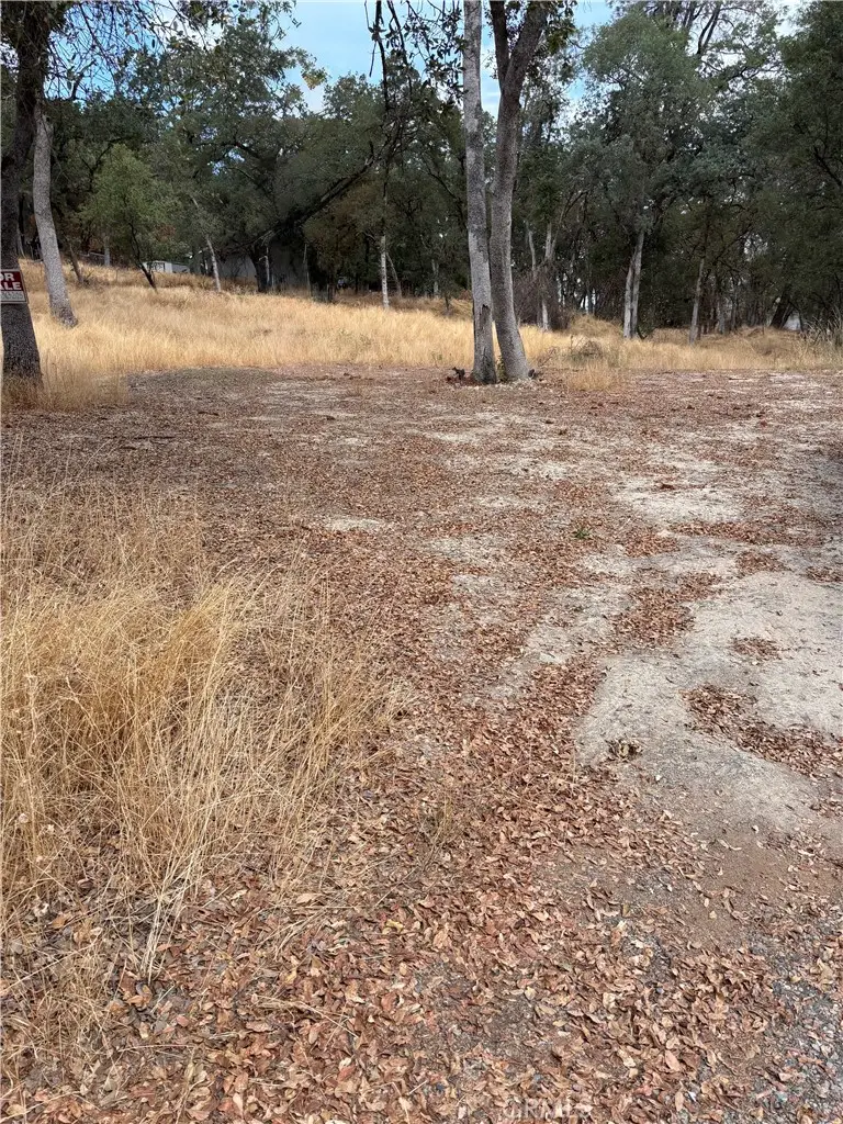 3885 Rosey Way, Placerville, CA 95667 - Image #2