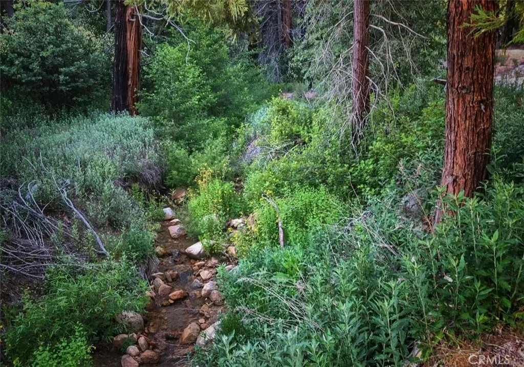 1 Fredalba Road, Running Springs, CA 92382 - Image #1