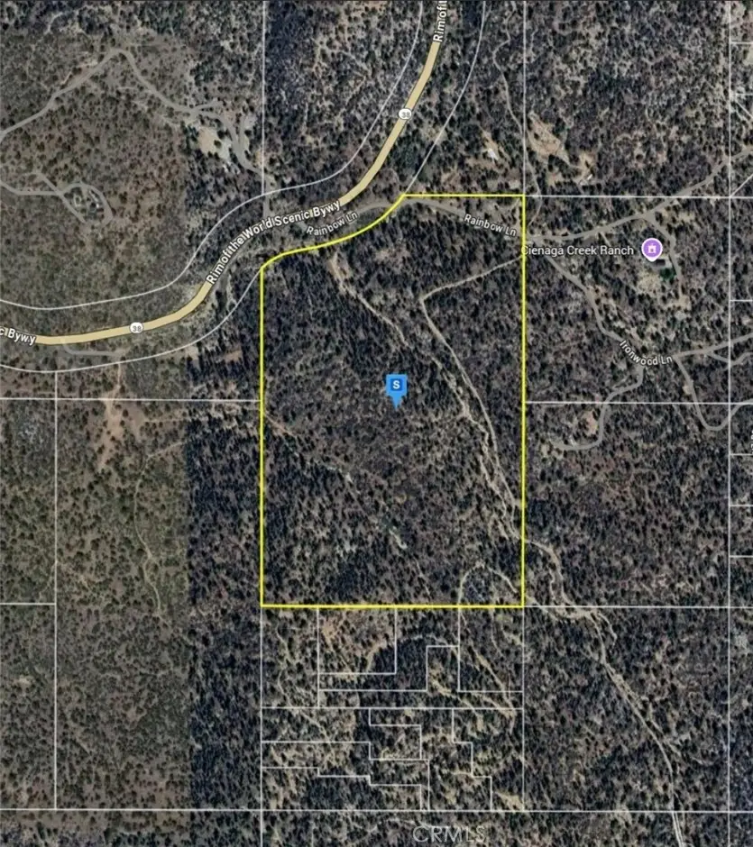 0 Highway 38, Angelus Oaks, CA 92305 - #2