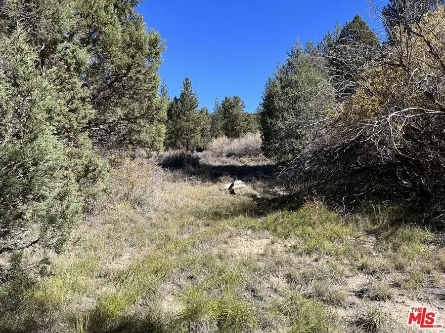 0 Highway 38, Angelus Oaks, CA 92305 - #3