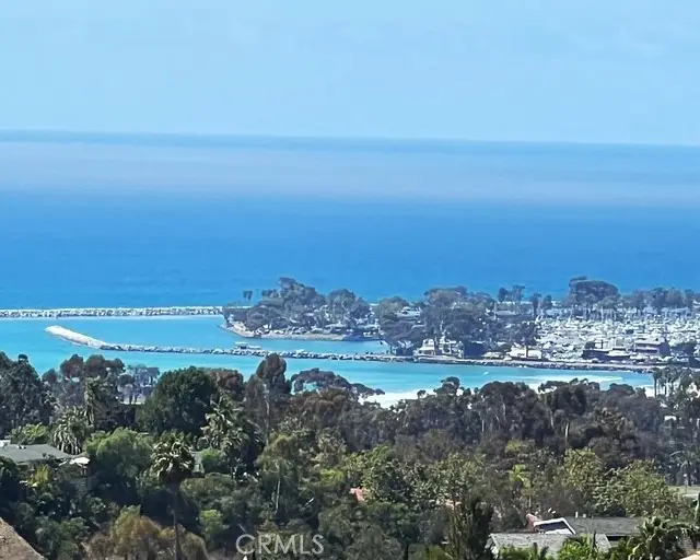 33801 Glocamora Lane, San Juan Capistrano, CA 92675 - #1