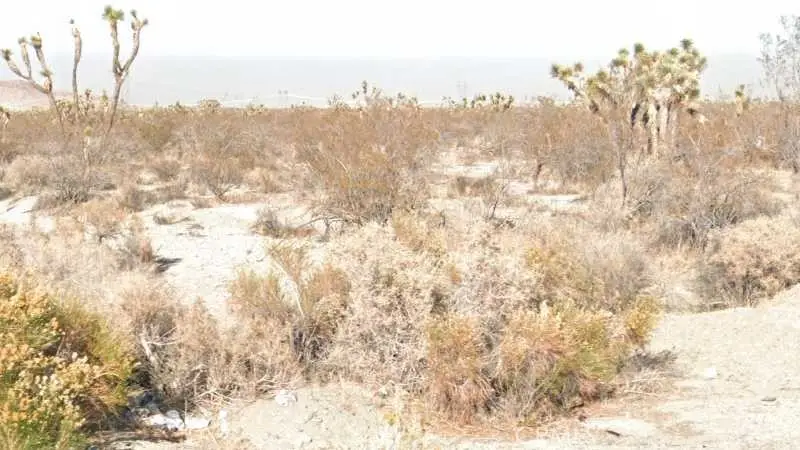 9 233rd Street E, Llano, CA 93591 - #1