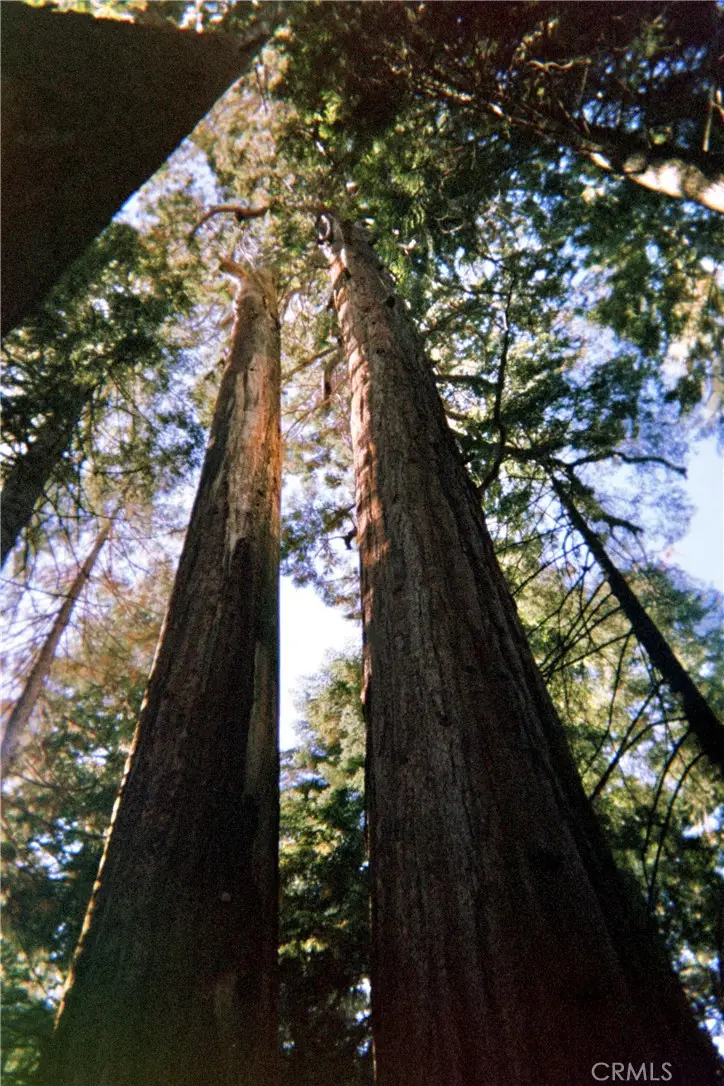 54584 Ponderosa Drive, Springville, CA 93265 - Image #1