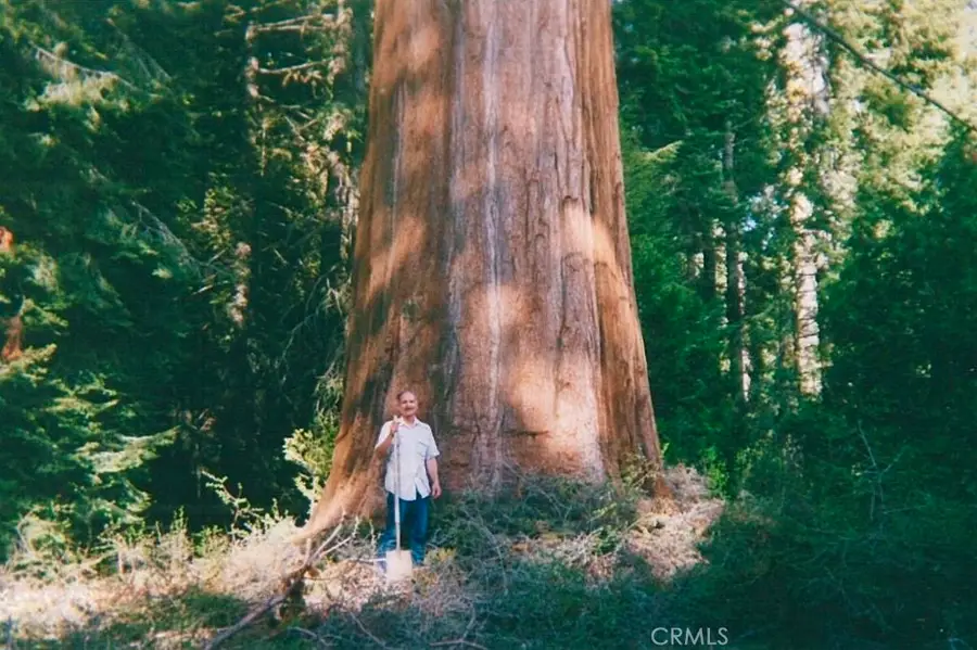 54584 Ponderosa Drive, Springville, CA 93265 - Image #3