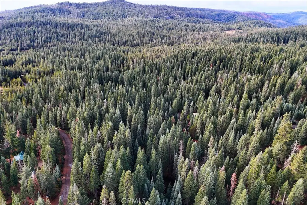 1100 Cleghorn Drive, Quincy, CA 95971 - Image #1