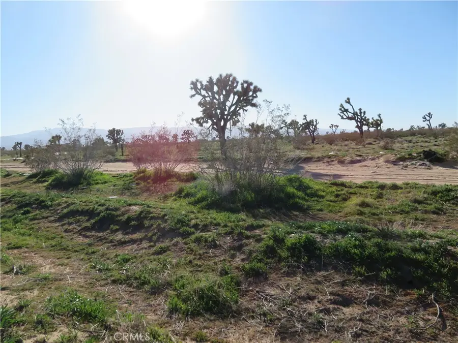 0 Luna Road, Phelan, CA 92371 - #3