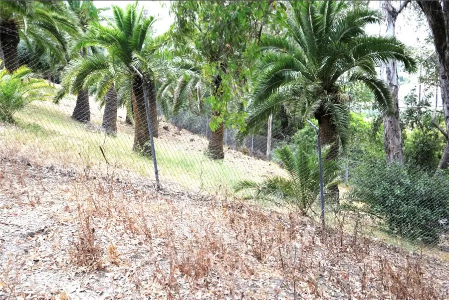 3176 N Orange, Orange, CA 92865 - #3