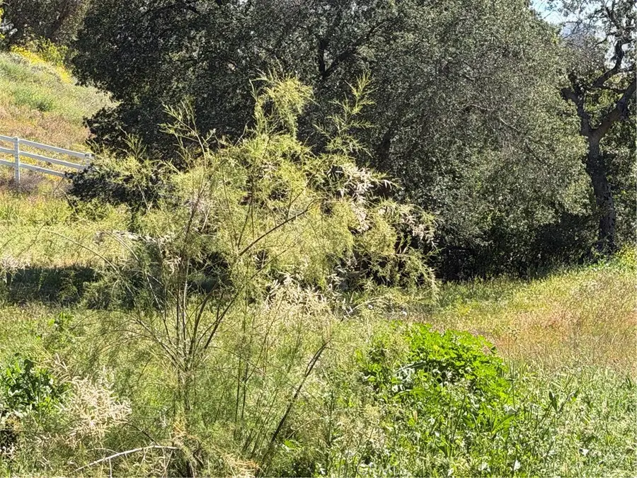 9050 Hunt Road, Corona, CA 92883 - #3