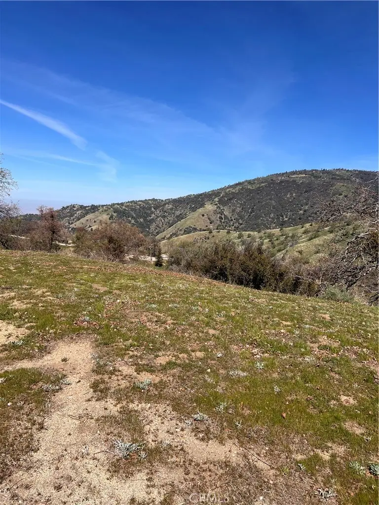 24200 Canyon Court, Bear Valley Springs, CA 93571 - #3