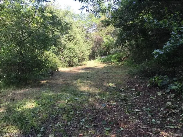 30242 Oak Lane, Silverado Canyon, CA 92676