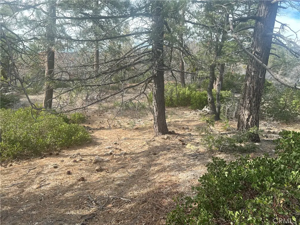 0 Hardy, Running Springs, CA 92382 - #1