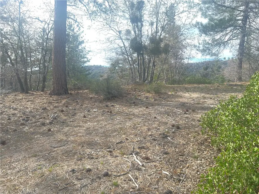 0 Hardy, Running Springs, CA 92382 - #3