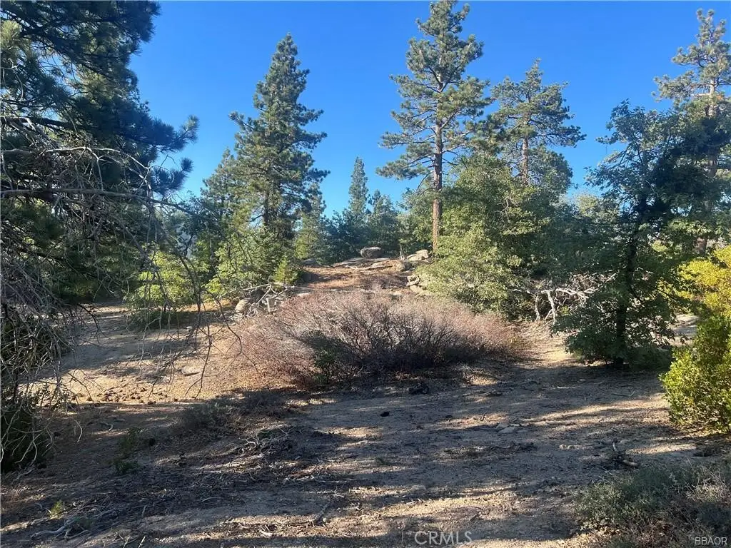 0 Hardy, Running Springs, CA 92382 - #1