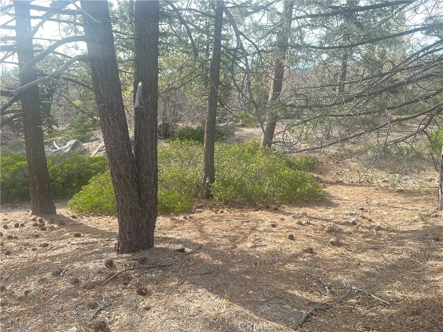 0 Hardy, Running Springs, CA 92382 - #3