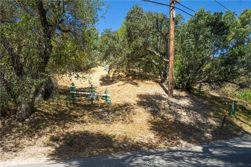 20601 Trabuco Oaks, Trabuco Canyon, CA 92679 - #1