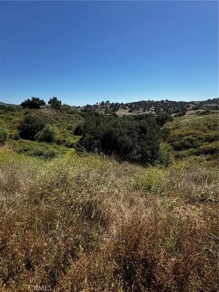 15897 Oak Tree, Chino Hills, CA 91709 - #3
