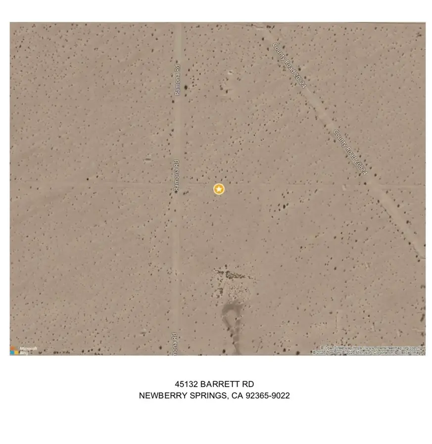 45132 Barrett Rd, Newberry Springs, CA 92365 - #1
