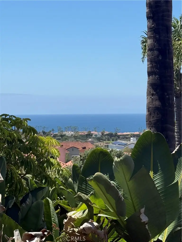 67 Saint Michael, Dana Point, CA 92629 - #2