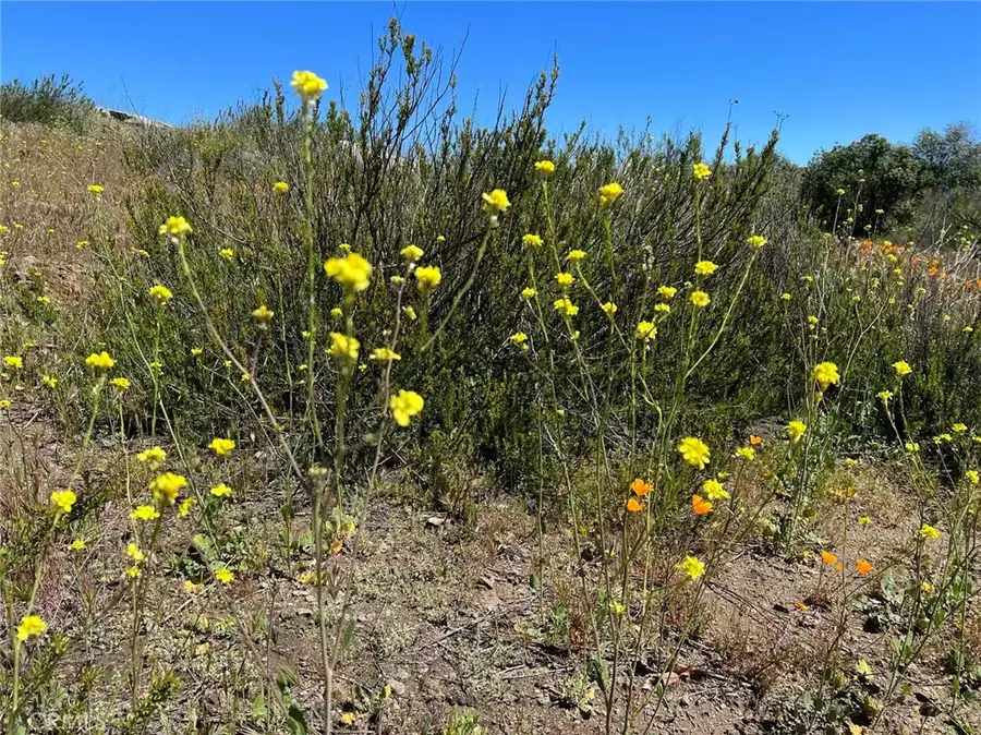0 Stanley Road, Hemet, CA 92544 - #3