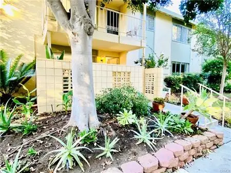 185 Avenida Majorca #D, Laguna Woods, CA 92637